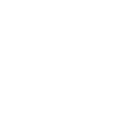 NFT Divi Child Theme