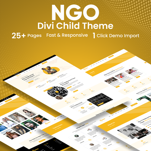 NGO Divi Child Theme
